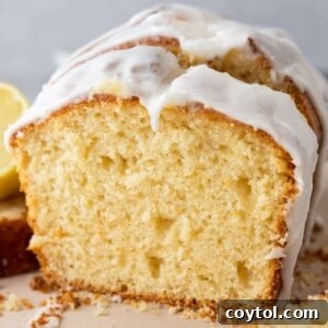 Blender Lemon Cake Recipe