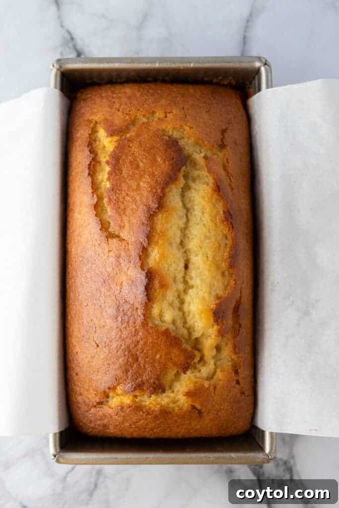 Golden-brown baked loaf in a pan