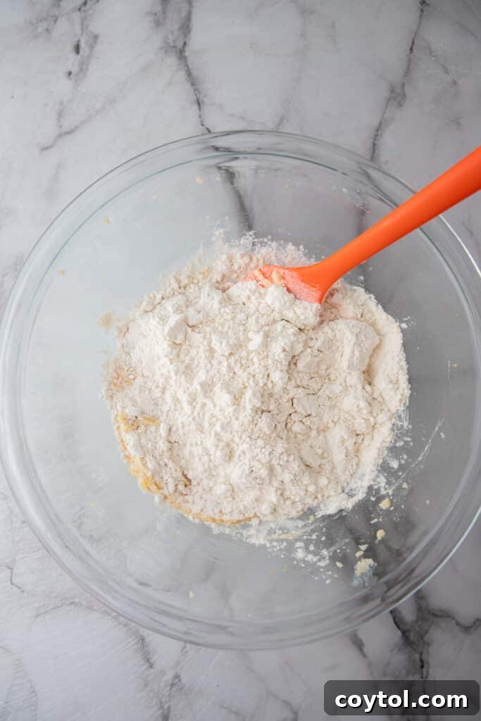 Cookie dough mixture after adding heat-treated flour and salt, showing its initial crumbly texture