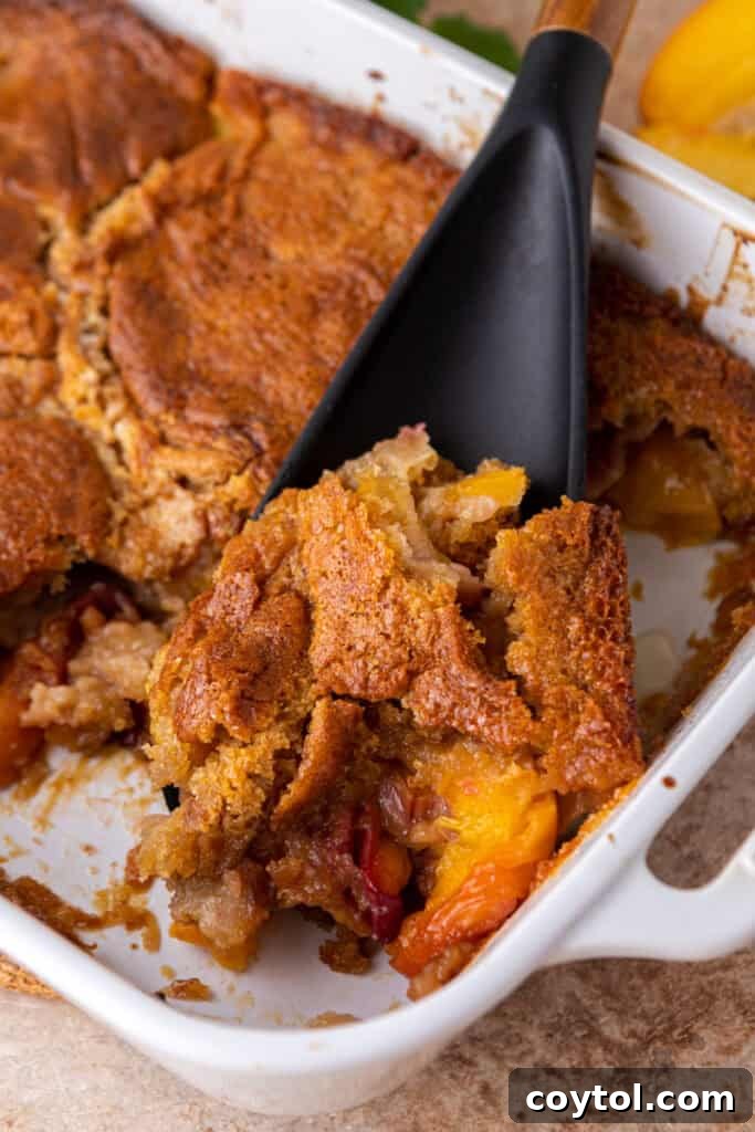 Overhead shot of old fashioned peach cobbler being scooped from the dish