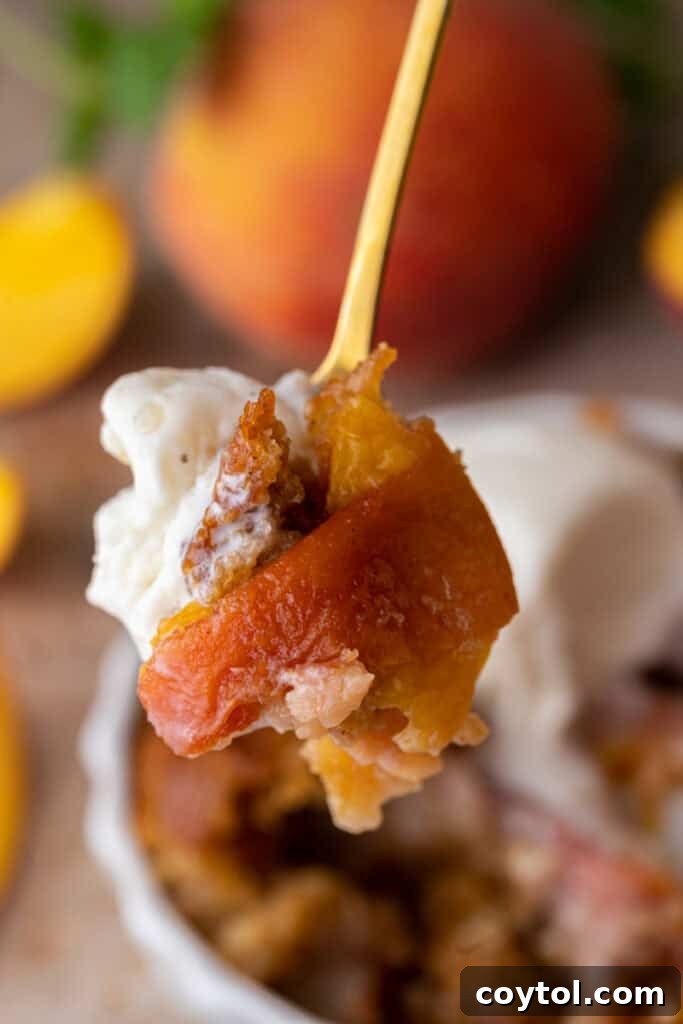 A spoonful of old fashioned peach cobbler showing juicy peaches and golden crust