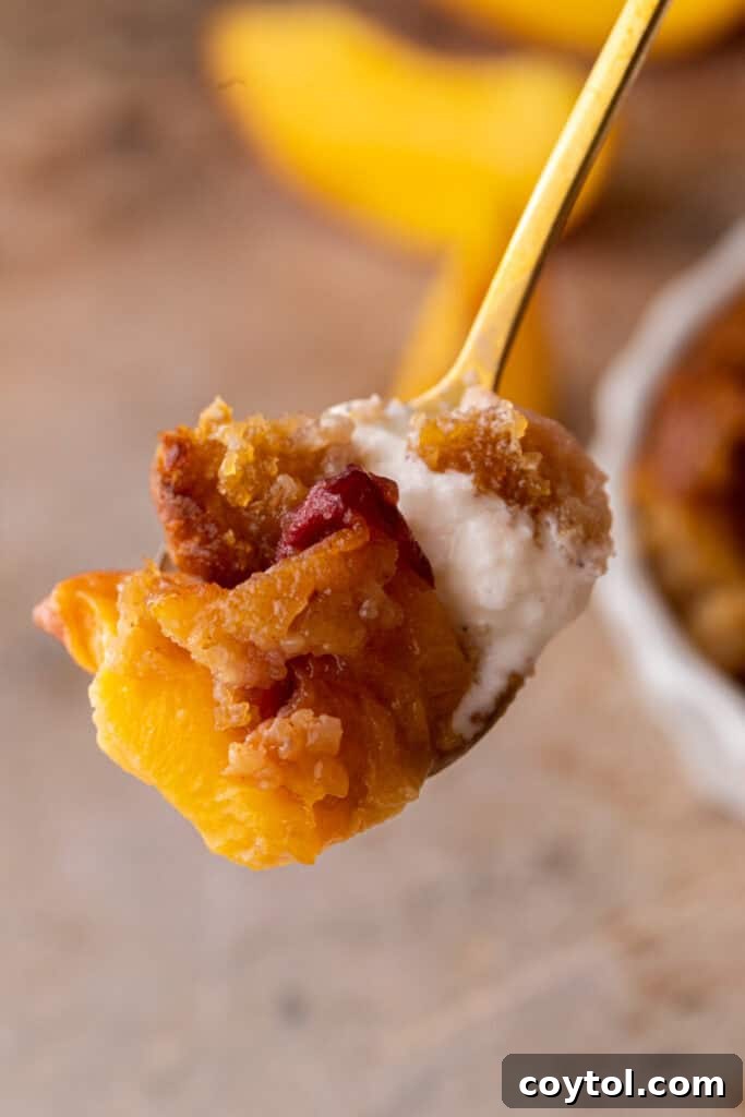 A spoonful of old fashioned peach cobbler with a golden-brown crust