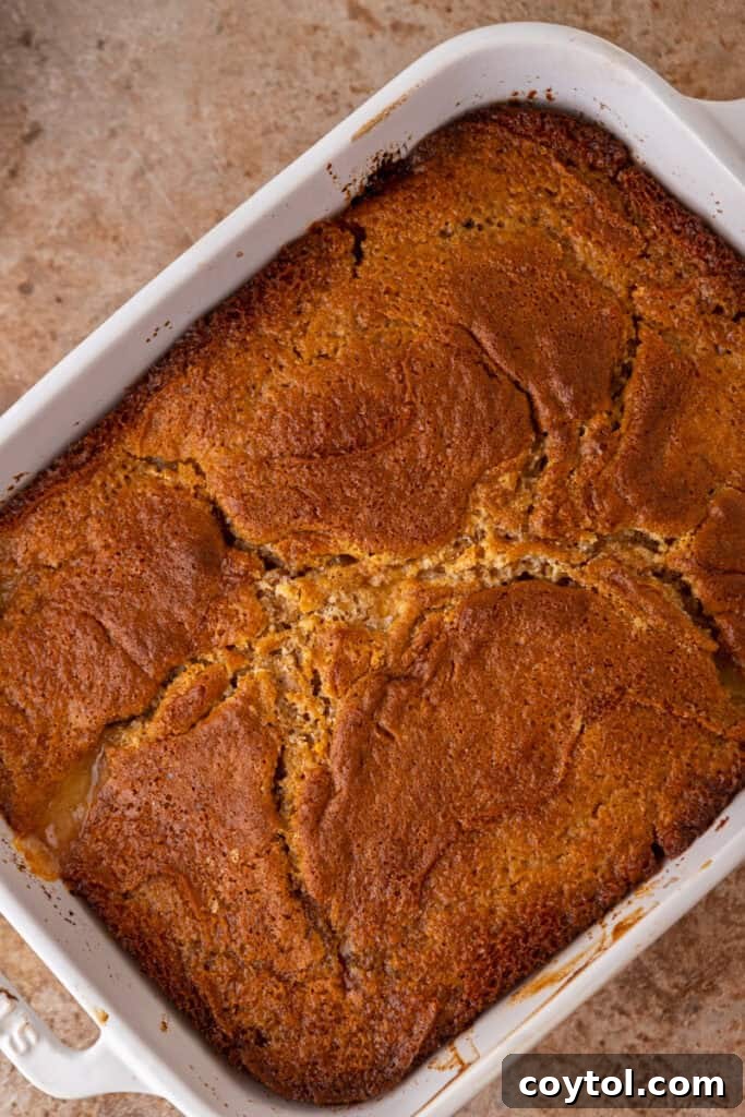 Freshly baked old fashioned peach cobbler, golden brown and bubbling, hot out of the oven