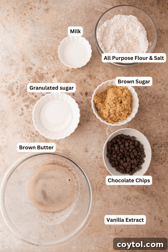 Irresistible Edible Chocolate Chip Cookie Dough 3 A neatly arranged flat lay of all the essential ingredients needed for the edible chocolate chip cookie dough recipe on a kitchen counter, highlighting freshness and readiness for preparation.