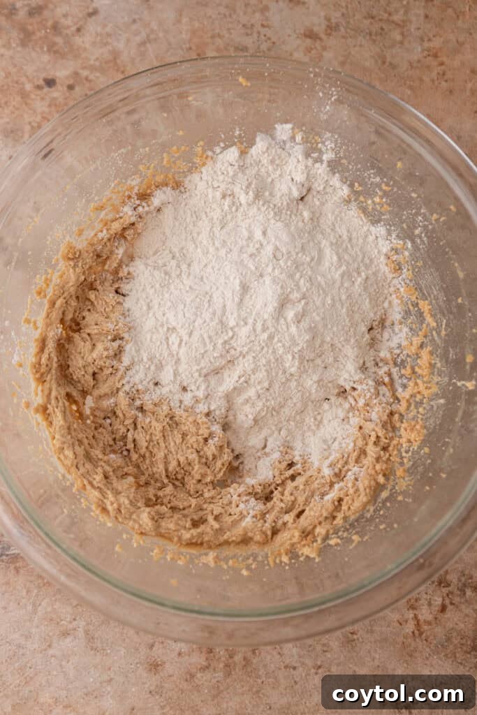 Irresistible Edible Chocolate Chip Cookie Dough 7 Adding heat-treated flour to the wet ingredients in a bowl, ready for mixing.