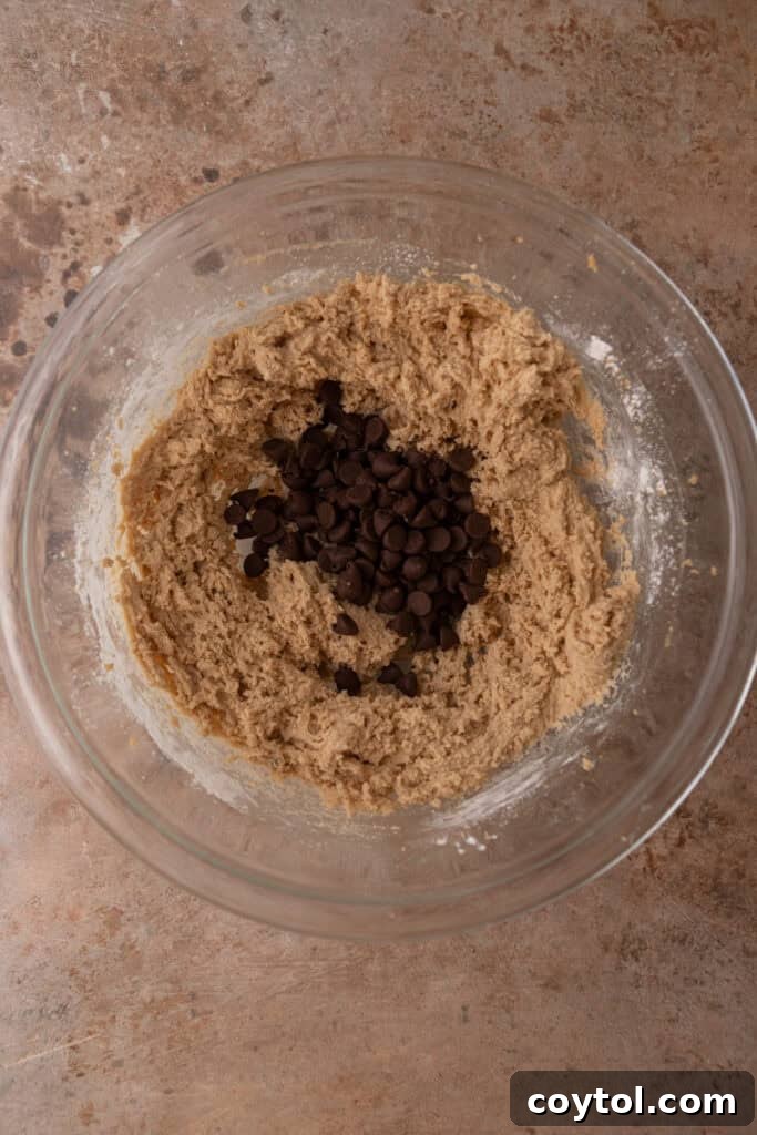 Irresistible Edible Chocolate Chip Cookie Dough 8 Edible cookie dough mixed with chocolate chips in a bowl, showing a rich, chunky texture.
