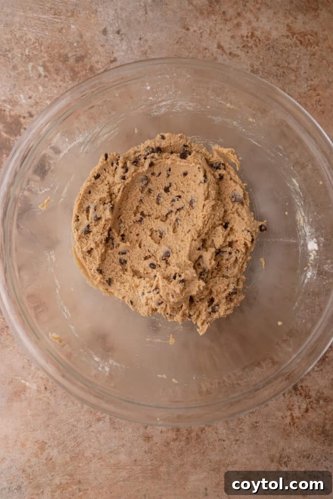 Irresistible Edible Chocolate Chip Cookie Dough 9 A bowl of freshly made brown butter edible chocolate chip cookie dough, garnished with a few extra chocolate chips on top.
