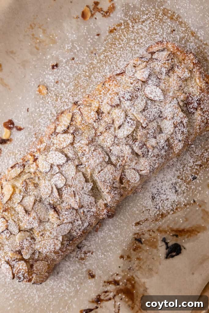 Baked braided almond danish dusted with powdered sugar