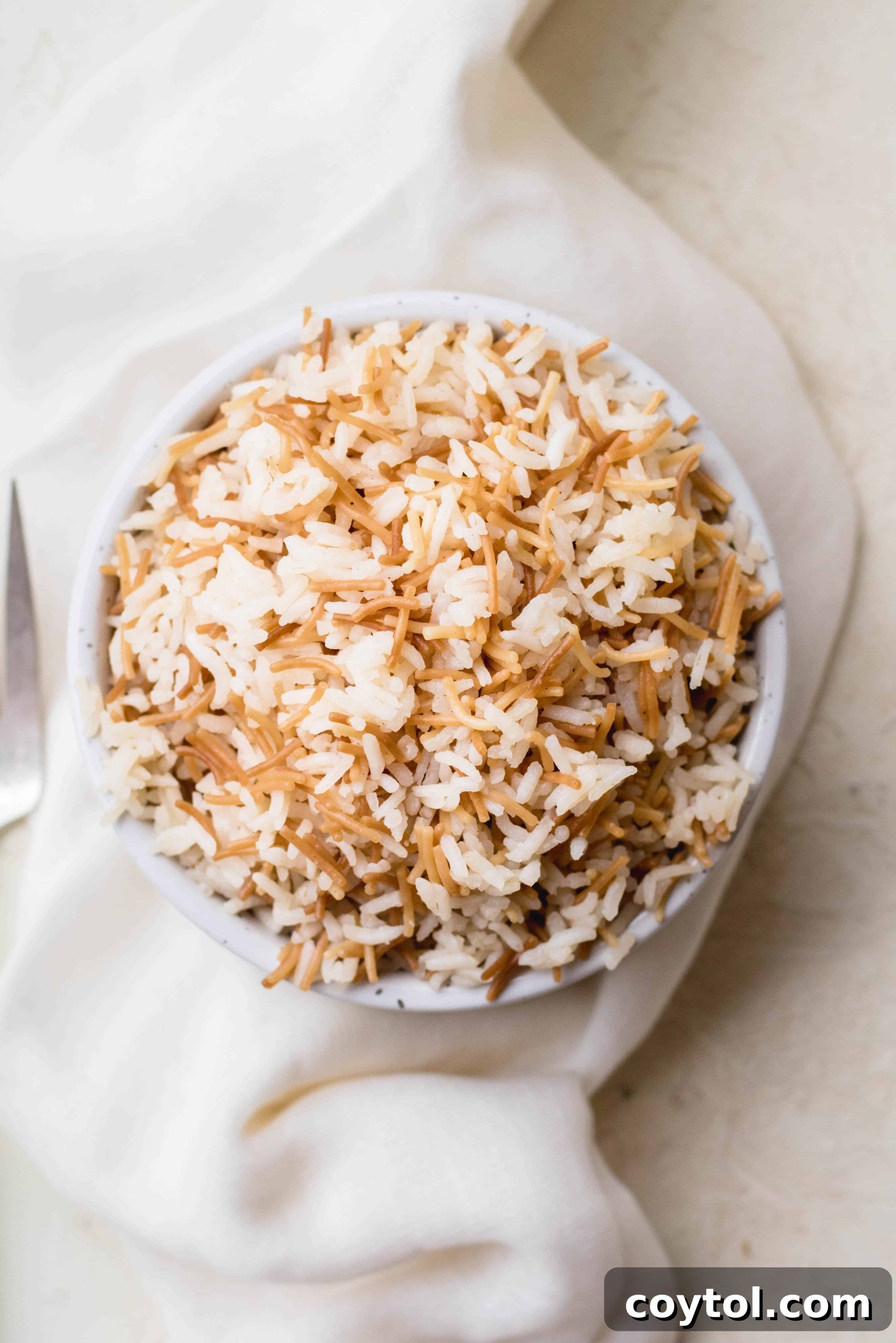 A beautifully presented plate of Lebanese rice pilaf with vermicelli and cinnamon, garnished with fresh herbs, ready to serve.