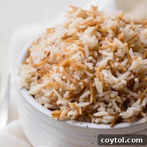 A close-up of fragrant Lebanese stovetop rice pilaf, garnished with fresh parsley and a sprinkle of cinnamon, served in a white bowl.
