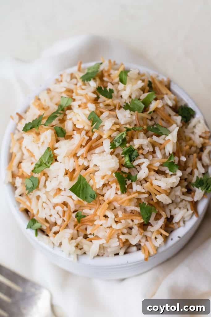 Close-up shot of fluffy Lebanese stovetop rice pilaf with golden vermicelli strands, a perfect accompaniment to any meal.