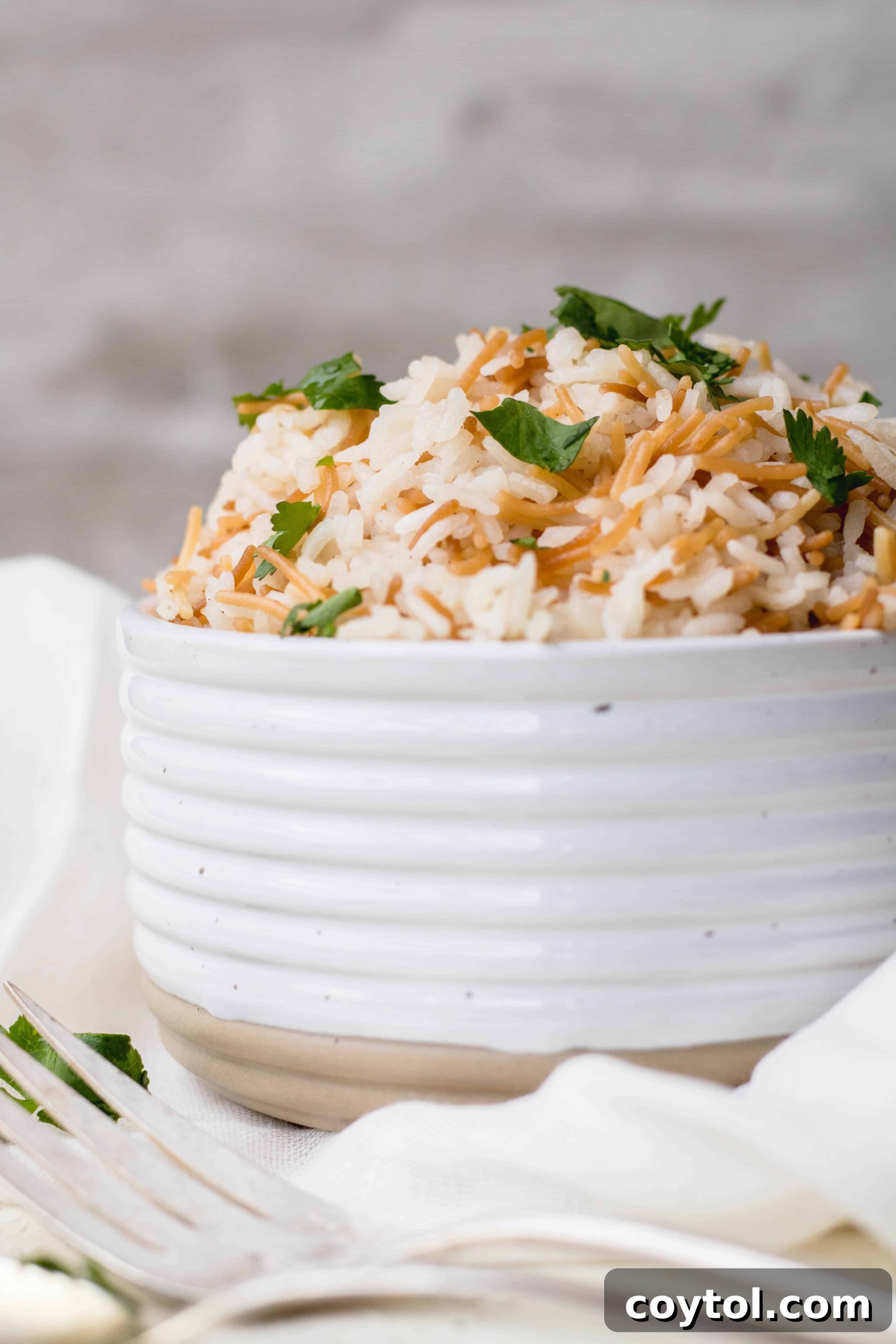 Overhead view of a pot of rice on a stovetop, illustrating the ease of cooking perfect Lebanese rice at home.