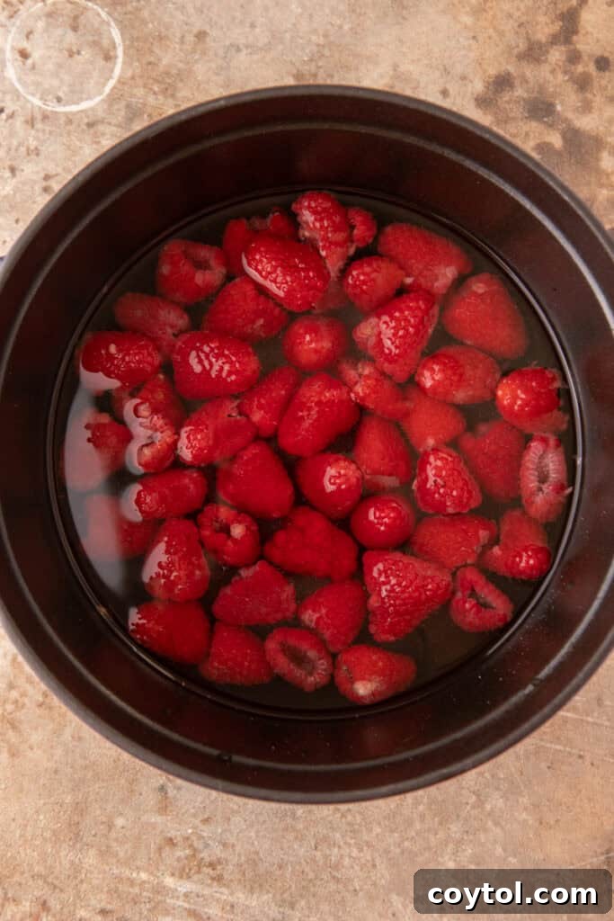Fresh raspberries, water, and sugar in a saucepan for making syrup