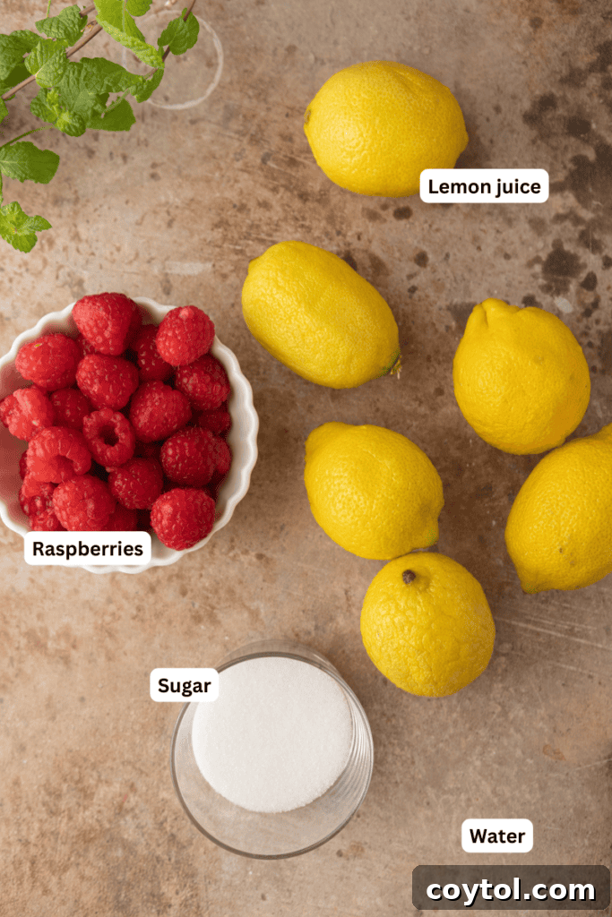 Ingredients laid out for raspberry lemonade recipe