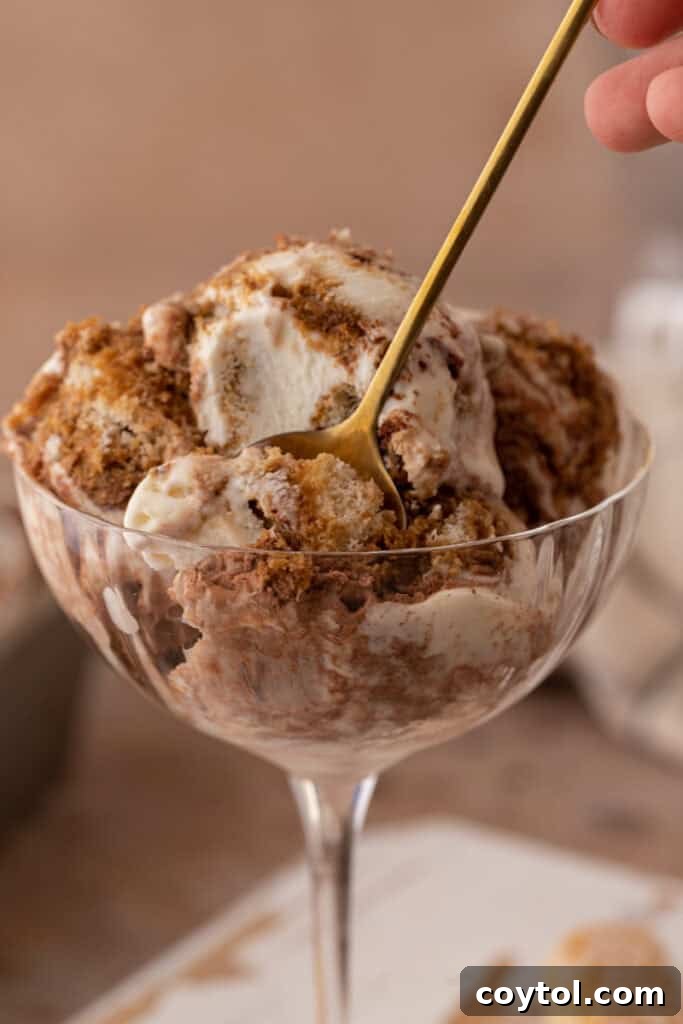 A glass filled with creamy no-churn tiramisu ice cream, garnished with cocoa powder and a spoon ready to dive in.