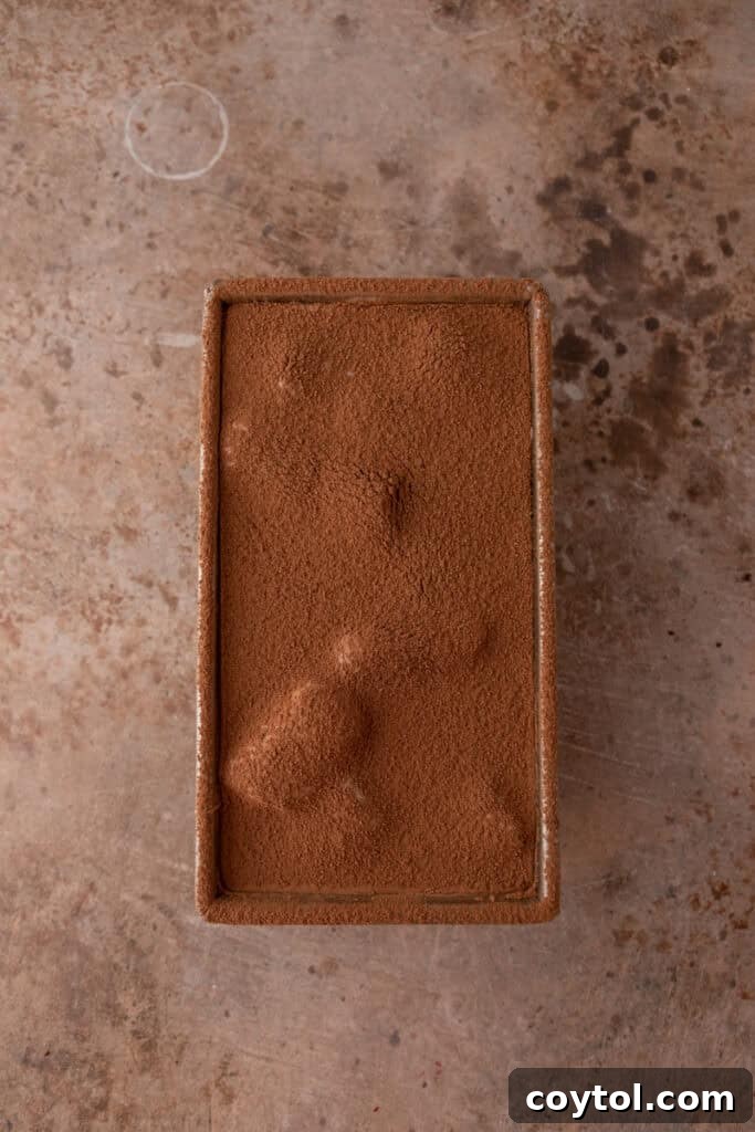 The second layer of ice cream base and ladyfingers, also dusted with cocoa powder, building the tiramisu structure.