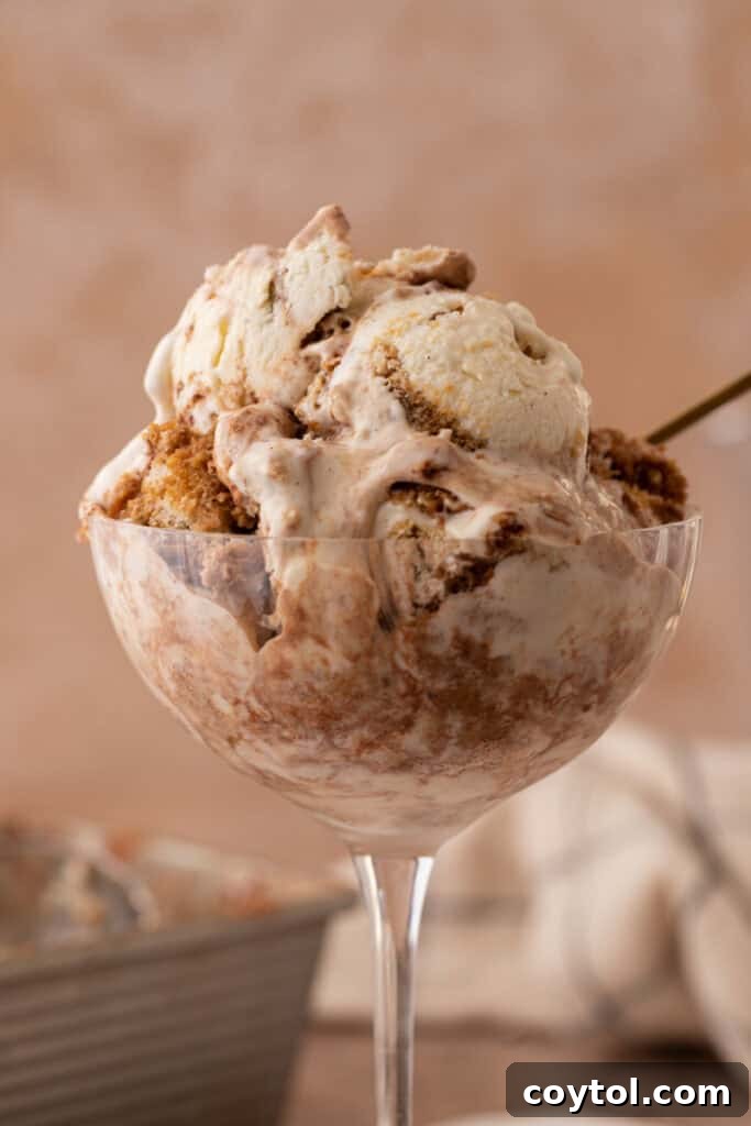 A beautiful serving of no-churn tiramisu ice cream in a glass, ready to be enjoyed.