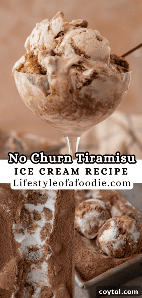 Pinterest pin graphic for the No-Churn Tiramisu Ice Cream recipe, featuring a close-up of the finished dessert.