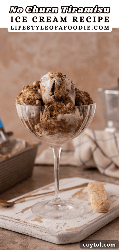 Another Pinterest pin graphic for the No-Churn Tiramisu Ice Cream recipe, showing a wider shot of the dessert in a serving dish.