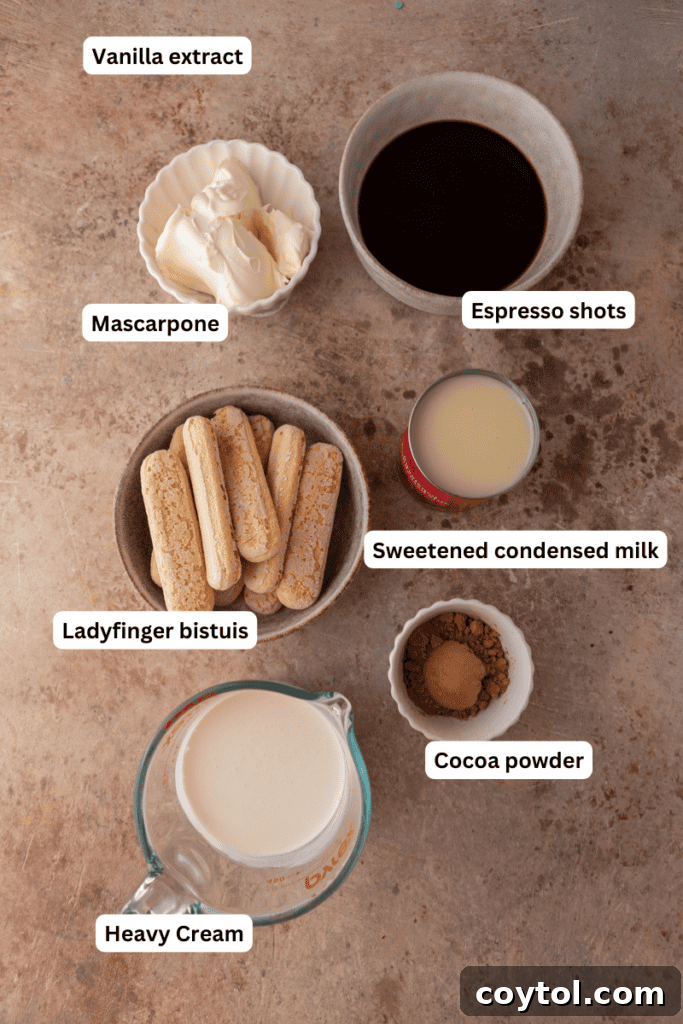 A selection of fresh ingredients laid out, including heavy cream, mascarpone cheese, sweetened condensed milk, espresso, ladyfingers, and cocoa powder, ready for making no-churn tiramisu ice cream.