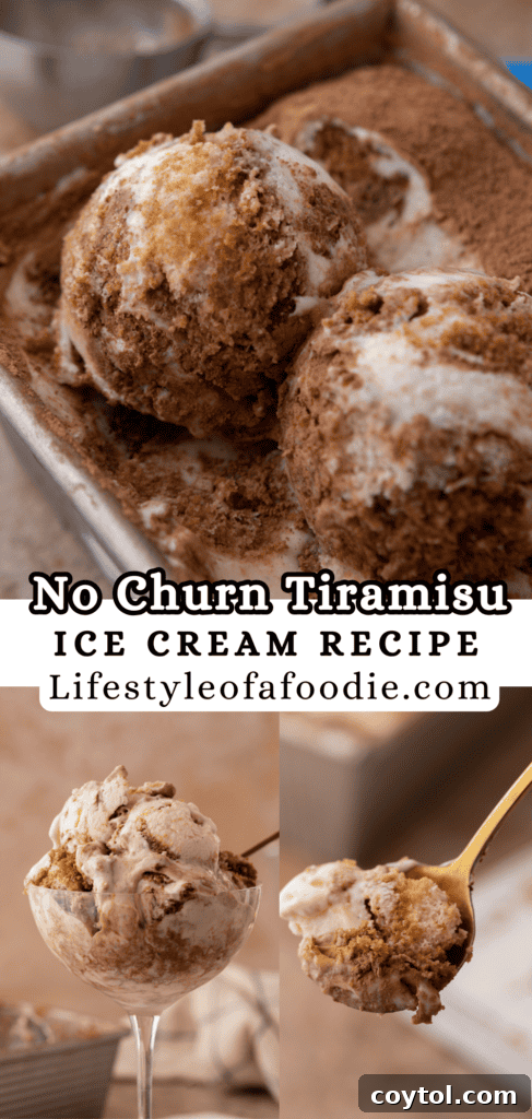 A third Pinterest pin graphic for the No-Churn Tiramisu Ice Cream recipe, highlighting the ingredients or a step in the process.