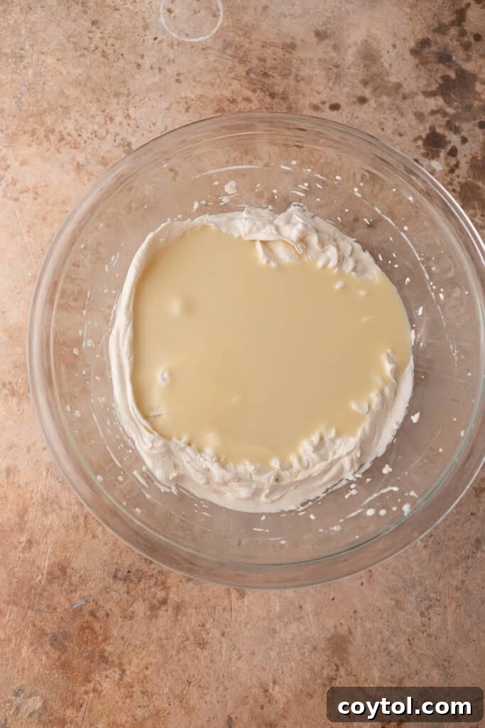 Mascarpone cheese, sweetened condensed milk, and vanilla extract in a bowl, waiting to be combined.