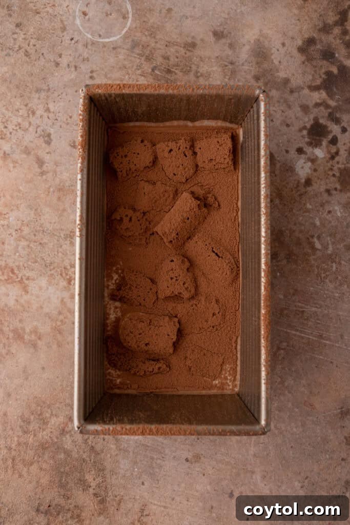 The first layer of ice cream base and ladyfingers dusted with cocoa powder.