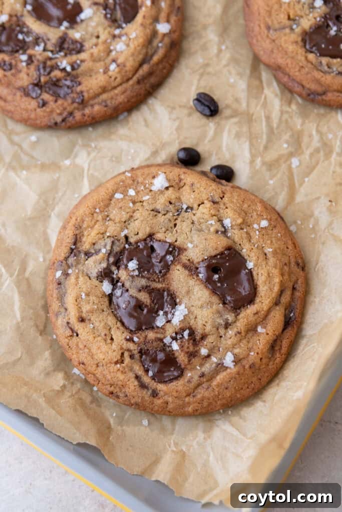 Decadent Soft Chewy Espresso Chocolate Chip Cookies 12 espresso chocolate chip cookie with puddles of melty chocolate and sea salt