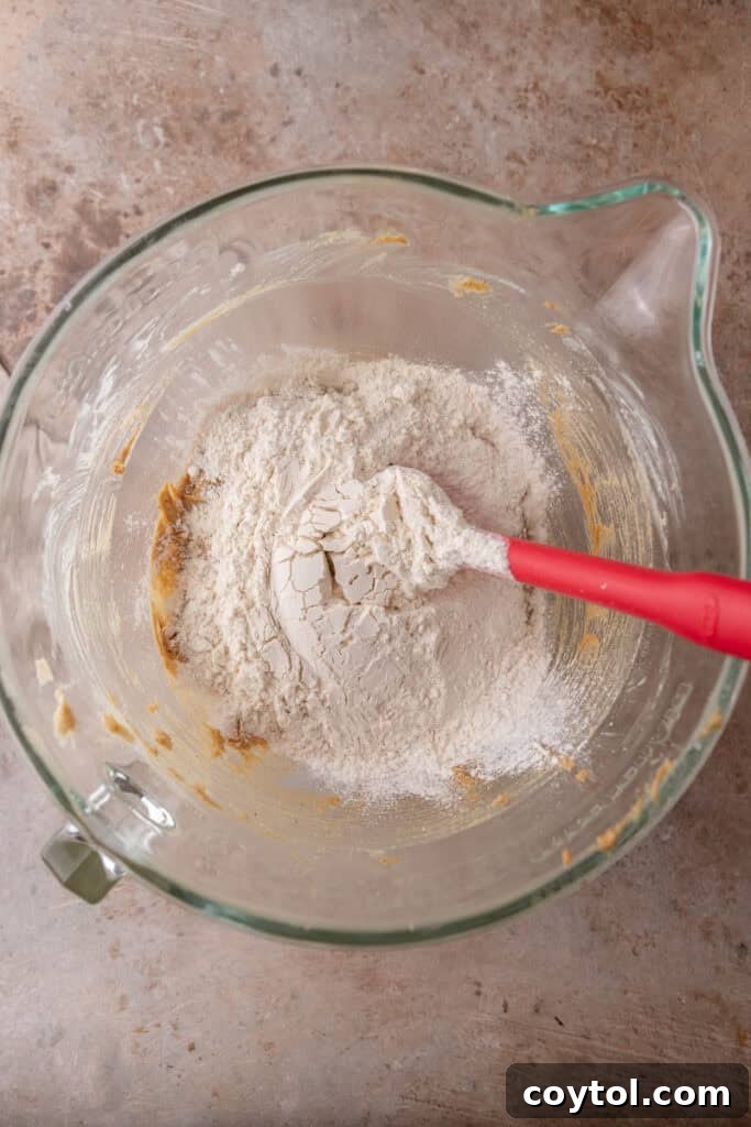Decadent Soft Chewy Espresso Chocolate Chip Cookies 7 Dry ingredients into the wet ingredients