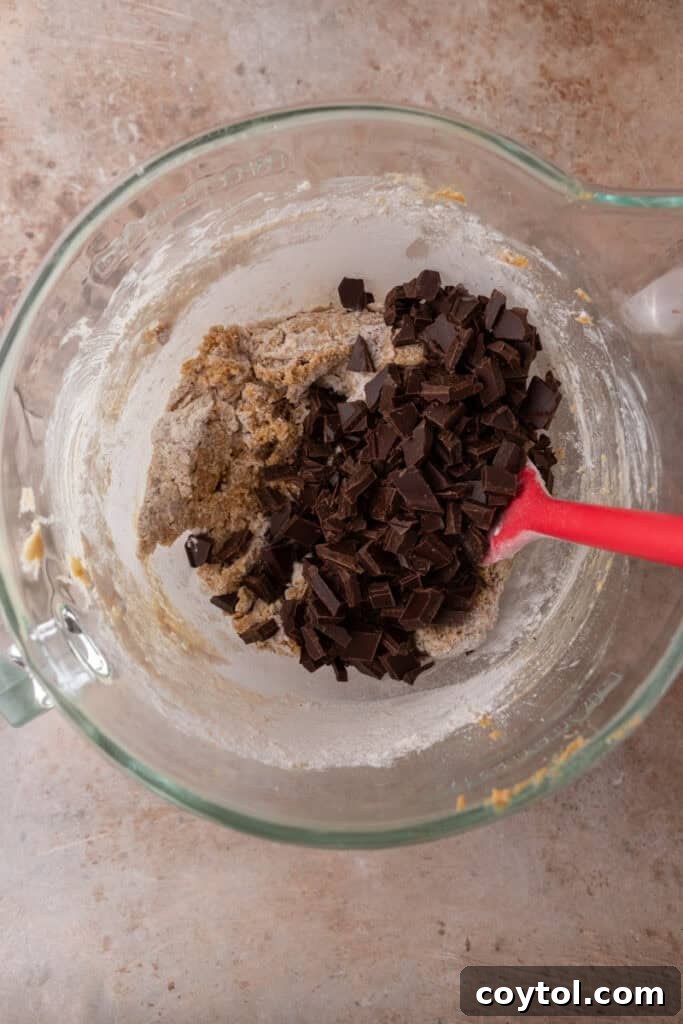 Decadent Soft Chewy Espresso Chocolate Chip Cookies 8 Chocolate chunks added into the cookie dough