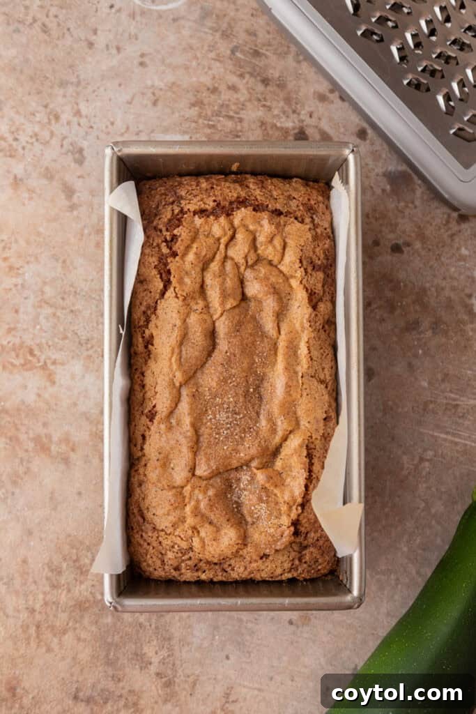 A baked zucchini bread loaf still in the pan, golden brown and perfectly risen.