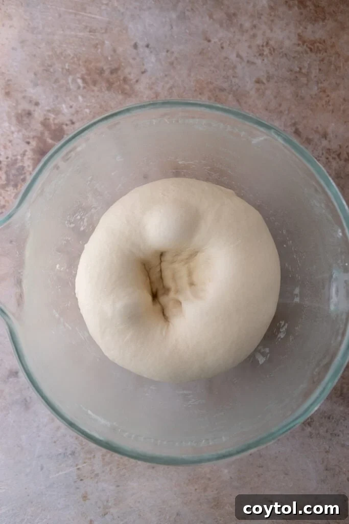 Sourdough discard dough, punched down after its first rise, resting in a bowl.