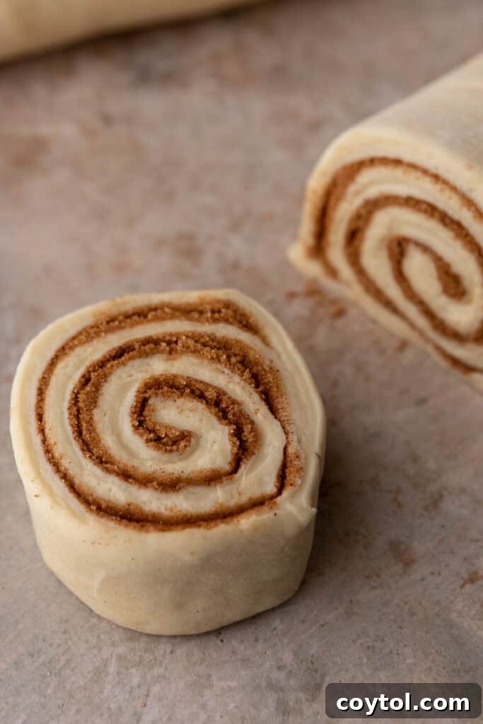The dough log expertly cut into even, individual cinnamon roll sections, showing clean spirals.