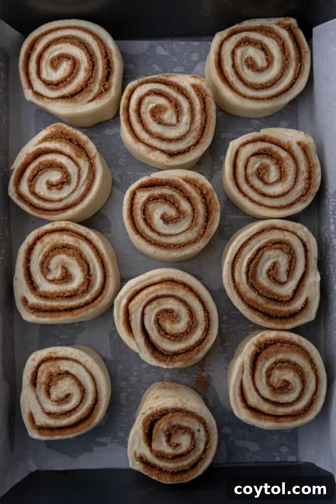 Unrisen dough rolls neatly arranged and spaced in a baking pan, ready for their second proofing.