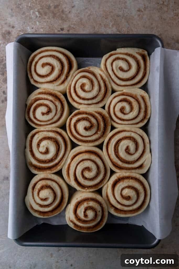 Risen dough rolls filling the baking pan, expanded and puffy, indicating they are perfectly proofed and ready for the oven.