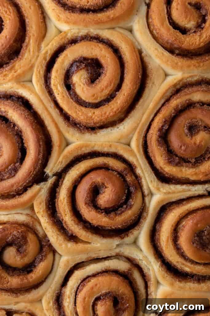 Fully baked sourdough discard cinnamon rolls in a pan, showcasing their golden-brown tops and inviting appearance.