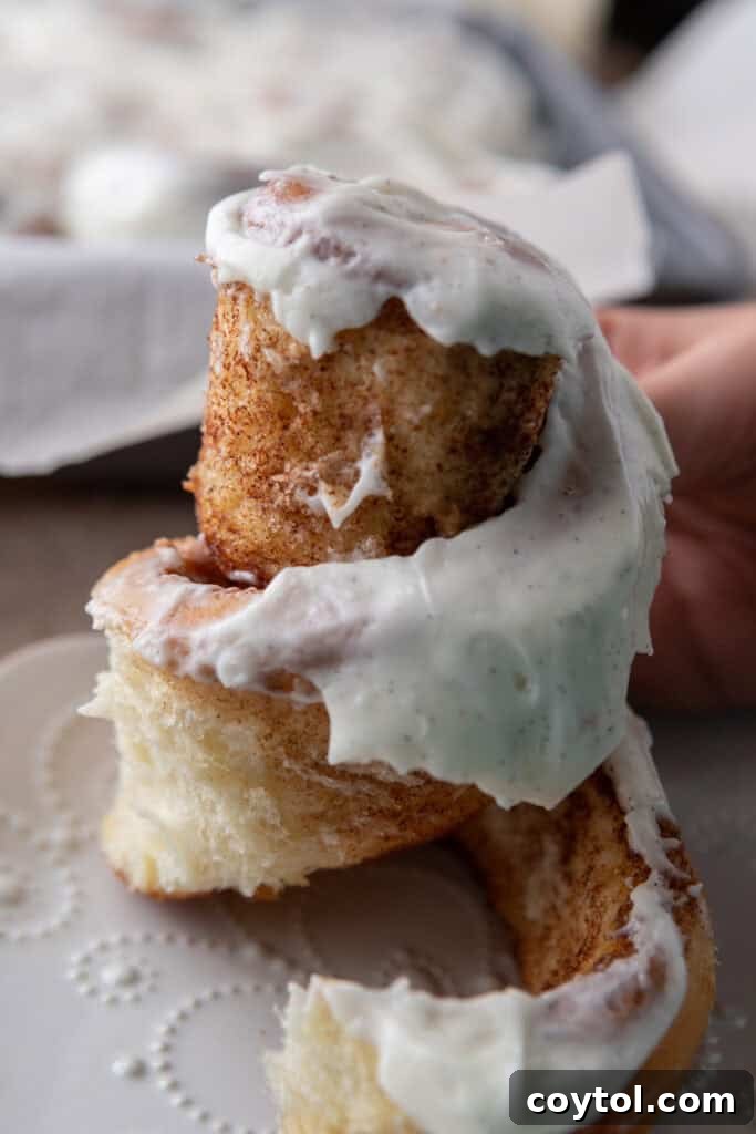 A baked Sourdough Discard Cinnamon Roll being gently pulled apart, revealing its tender, spiraled layers and the gooey cinnamon filling within.