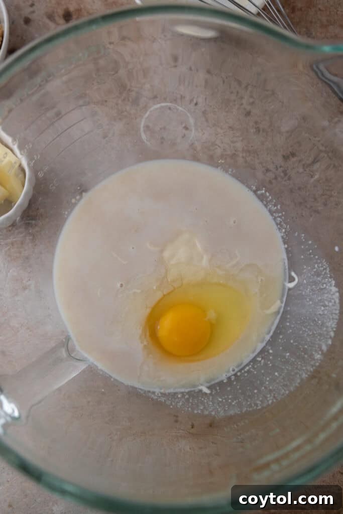 Separate ingredients including sourdough discard, egg, and sugar, waiting to be combined with the yeast mixture.