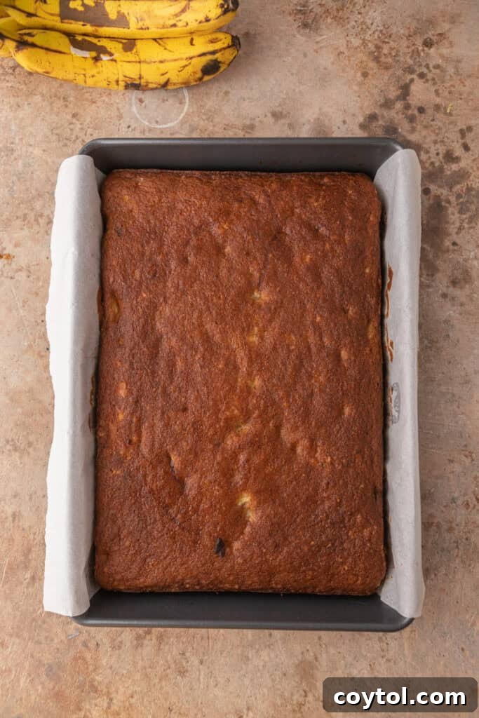A golden-brown, fully baked banana cake still in the pan on a wire rack, cooling.