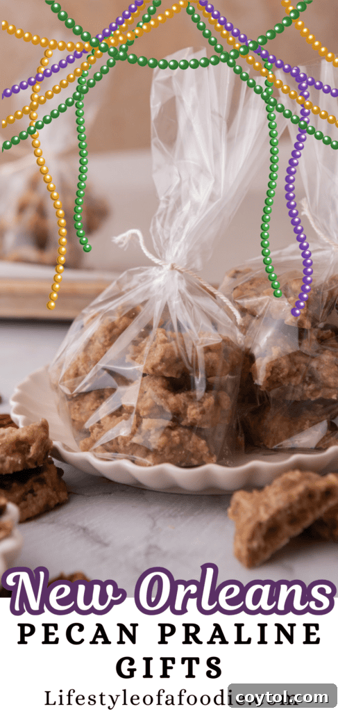 pinterest pin for the Southern Pecan Pralines Recipe