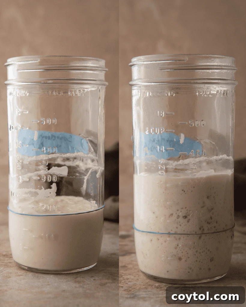 A healthy, bubbly sourdough starter in a glass jar