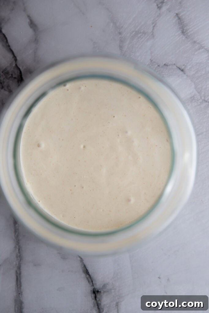A well-maintained sourdough starter, ready for its next feeding