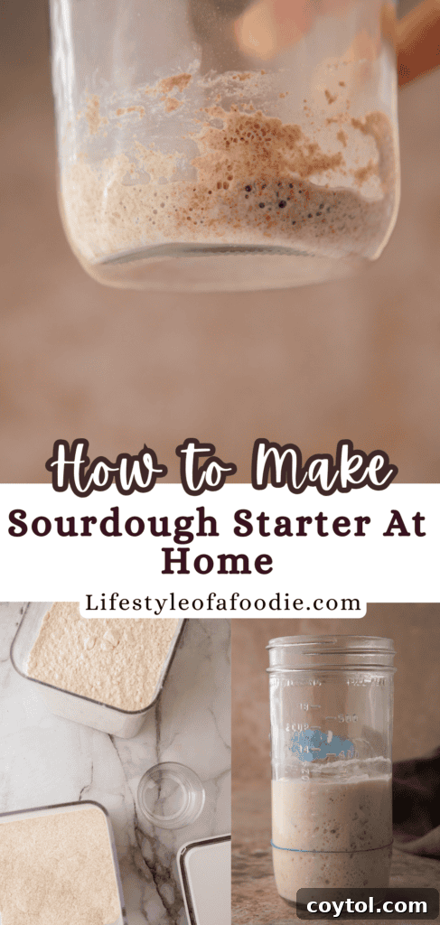 Pinterest collage featuring sourdough starter visuals