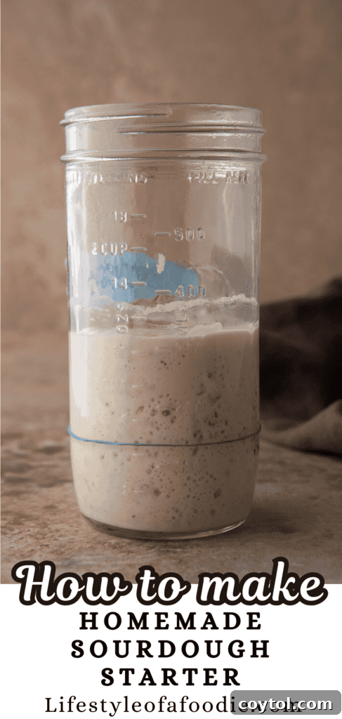 Another Pinterest collage showcasing sourdough starter