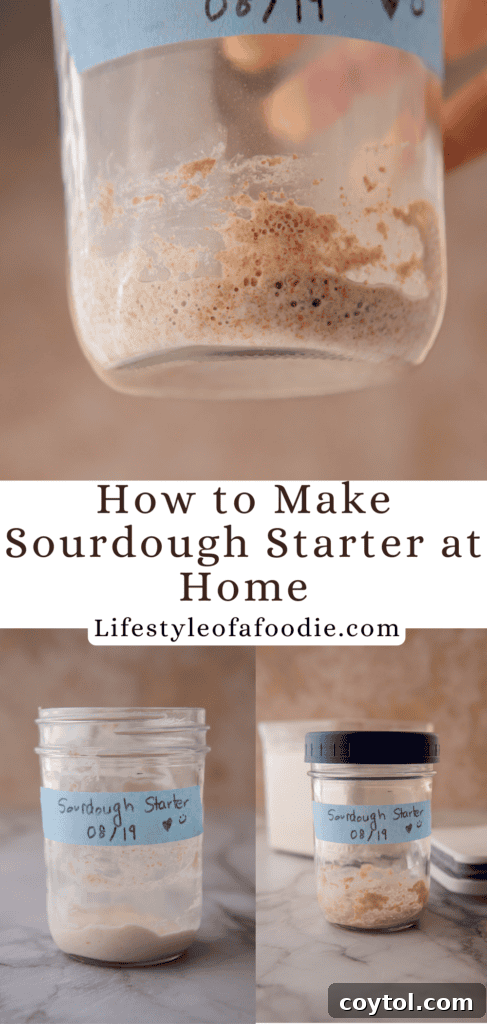 Third Pinterest collage for sourdough starter inspiration