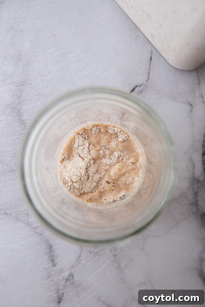 Flour and water mixed in a jar, ready for fermentation