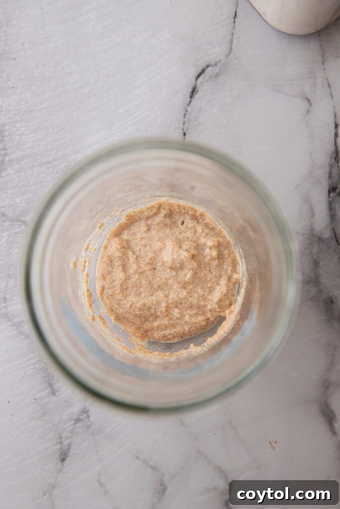 Sourdough starter after initial mixing, loosely covered