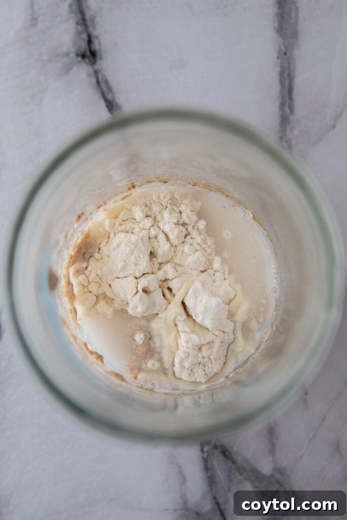 Sourdough starter showing different hydration levels and textures
