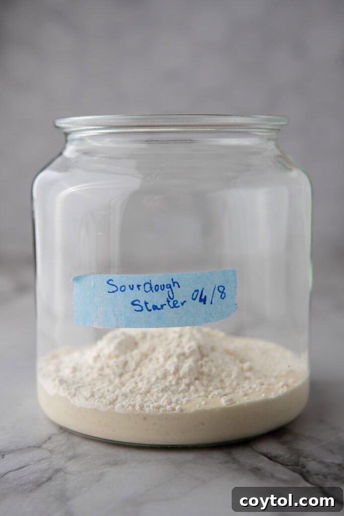 A jar of sourdough starter with less activity, showing minimal bubbles