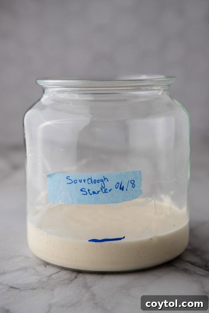 A mature, highly active sourdough starter with abundant bubbles